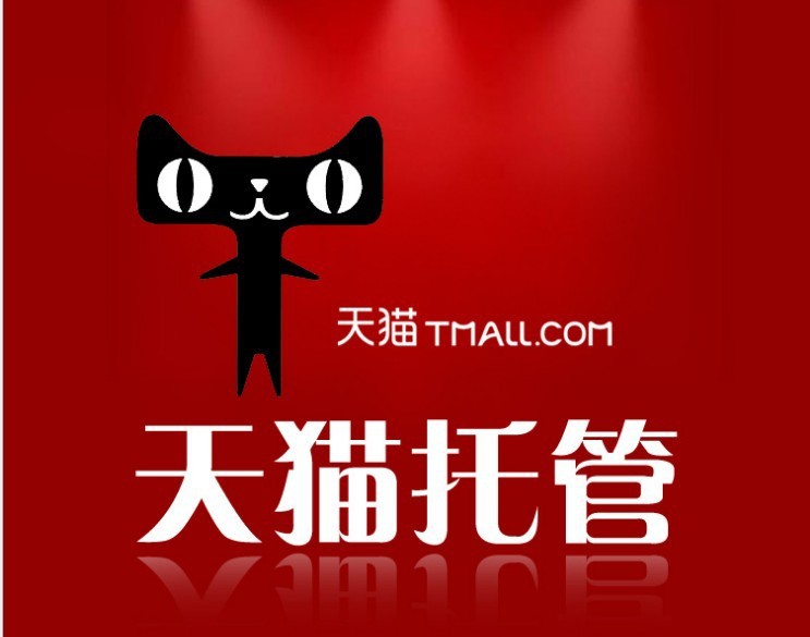 网店代运营-温州淘宝代运营 天猫整体外包 运营外包 天猫店铺托管-网店代运营尽在