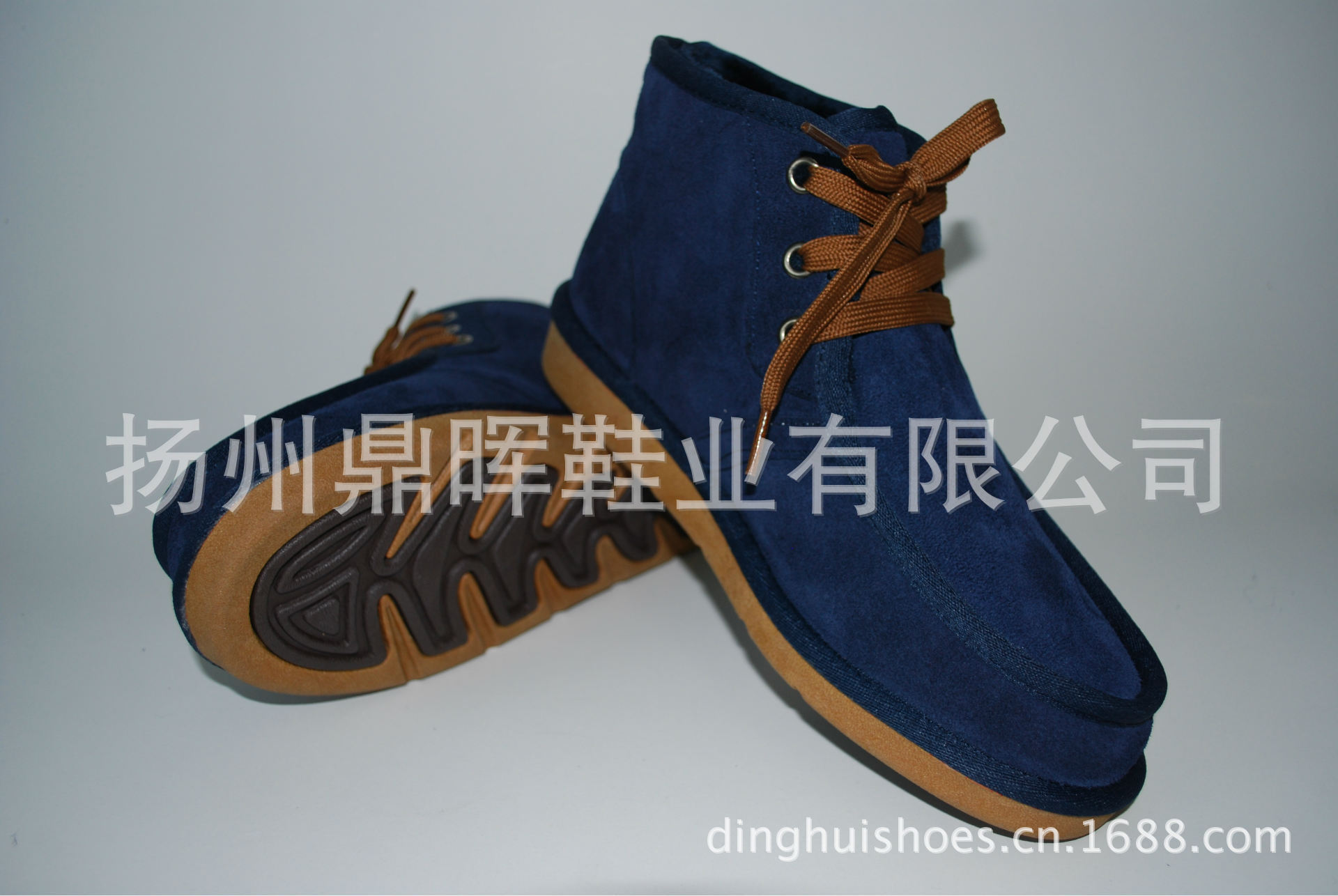 照片 239