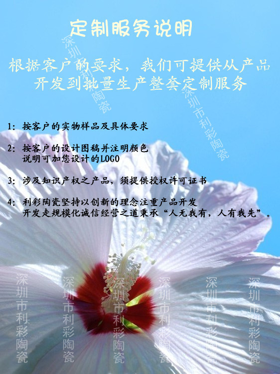 定制服务说明