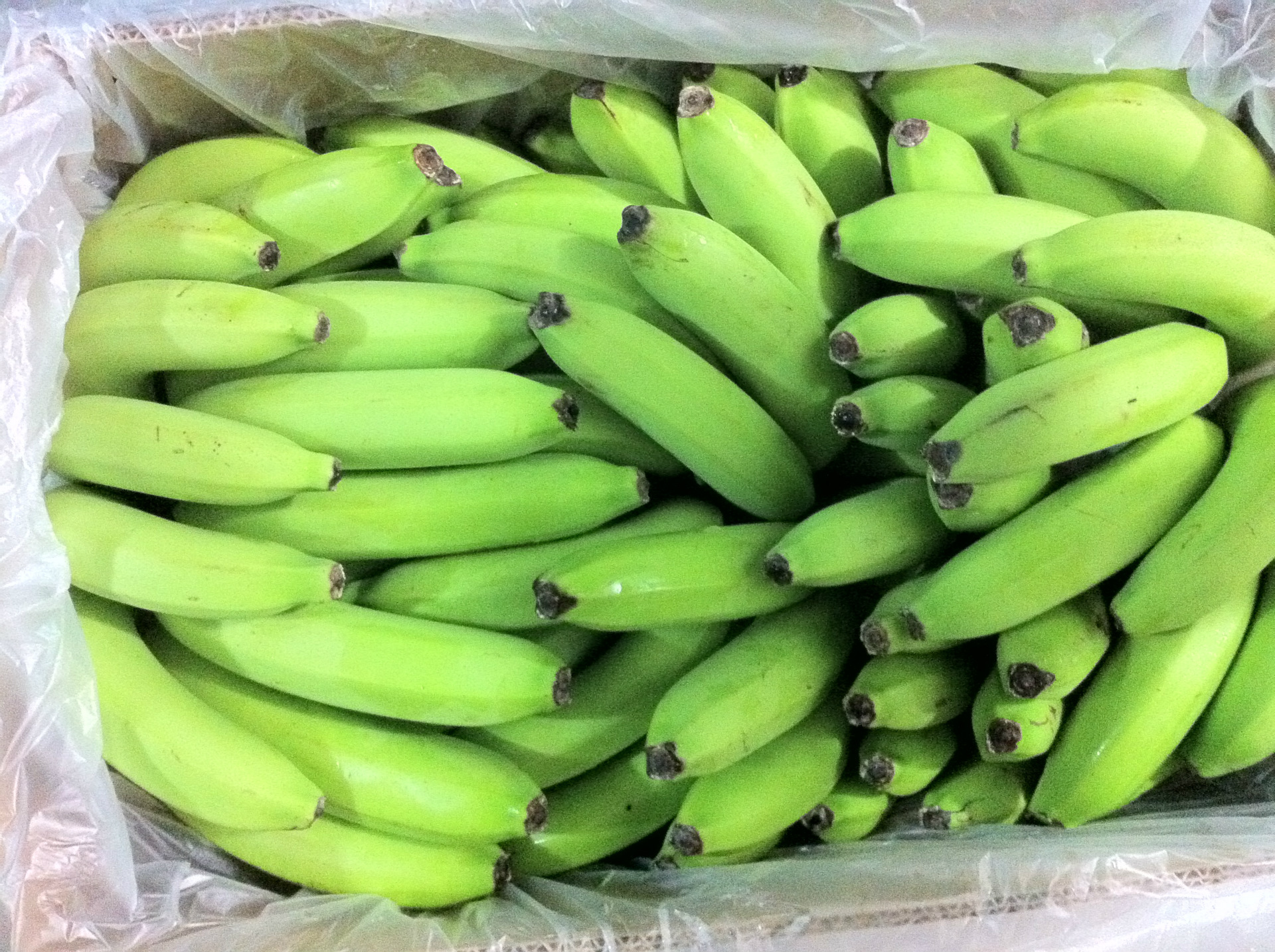 【厄瓜多尔进口香蕉】价格,厂家,图片,香蕉,法国