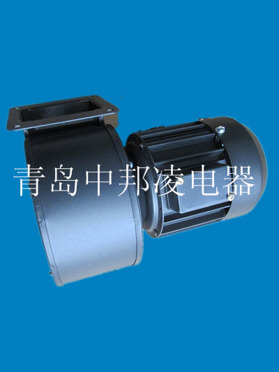 IMG_2182_副本_副本