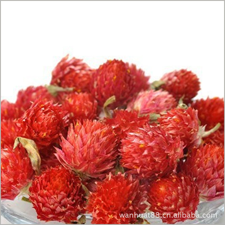 巧梅批发 千日红批发 千日紫批发 妃子红花果茶