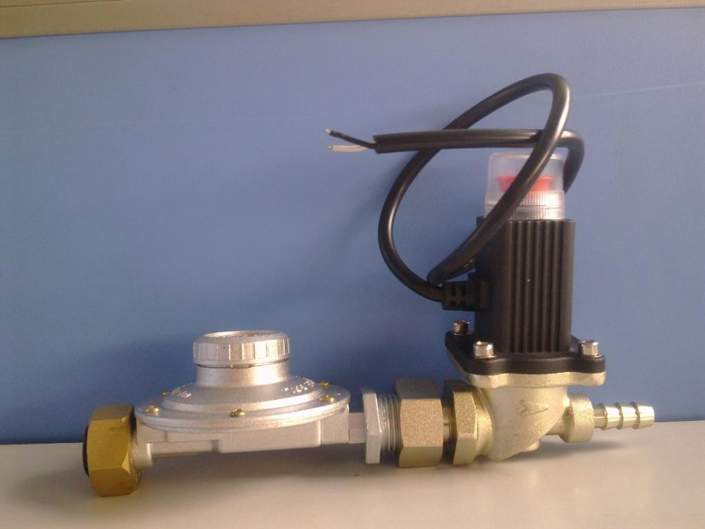 燃气紧急切断电磁阀 (4)