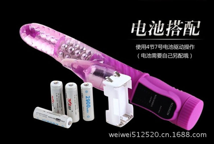 邦愛無敵海豚11