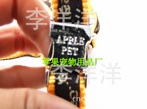 DSCF3017_副本