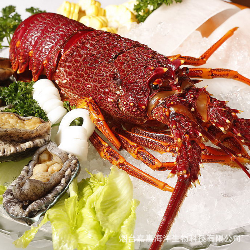 冷冻粗加工水产品-巴西龙虾-澜海王子-海鲜礼盒