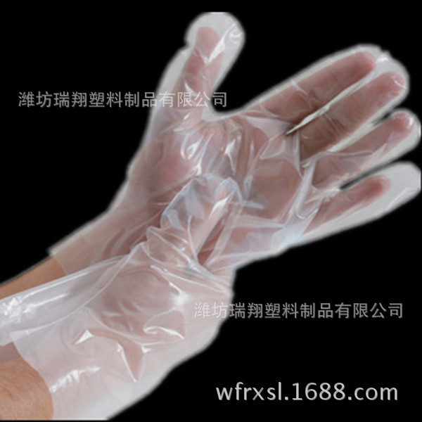 Plastic-Glove-350x350_副本_副本