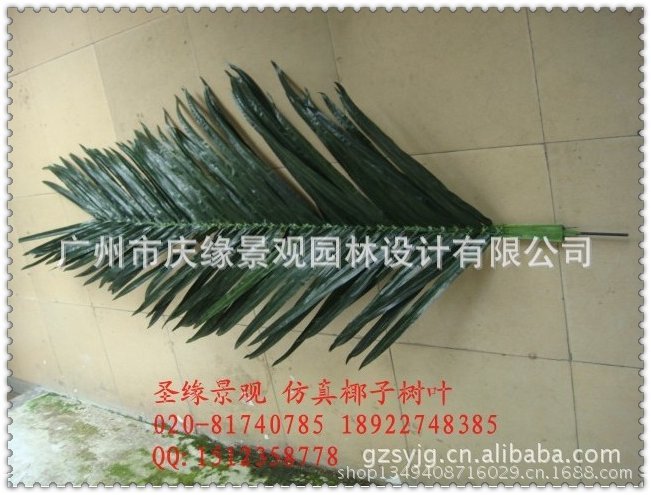 qq图片20130614101637