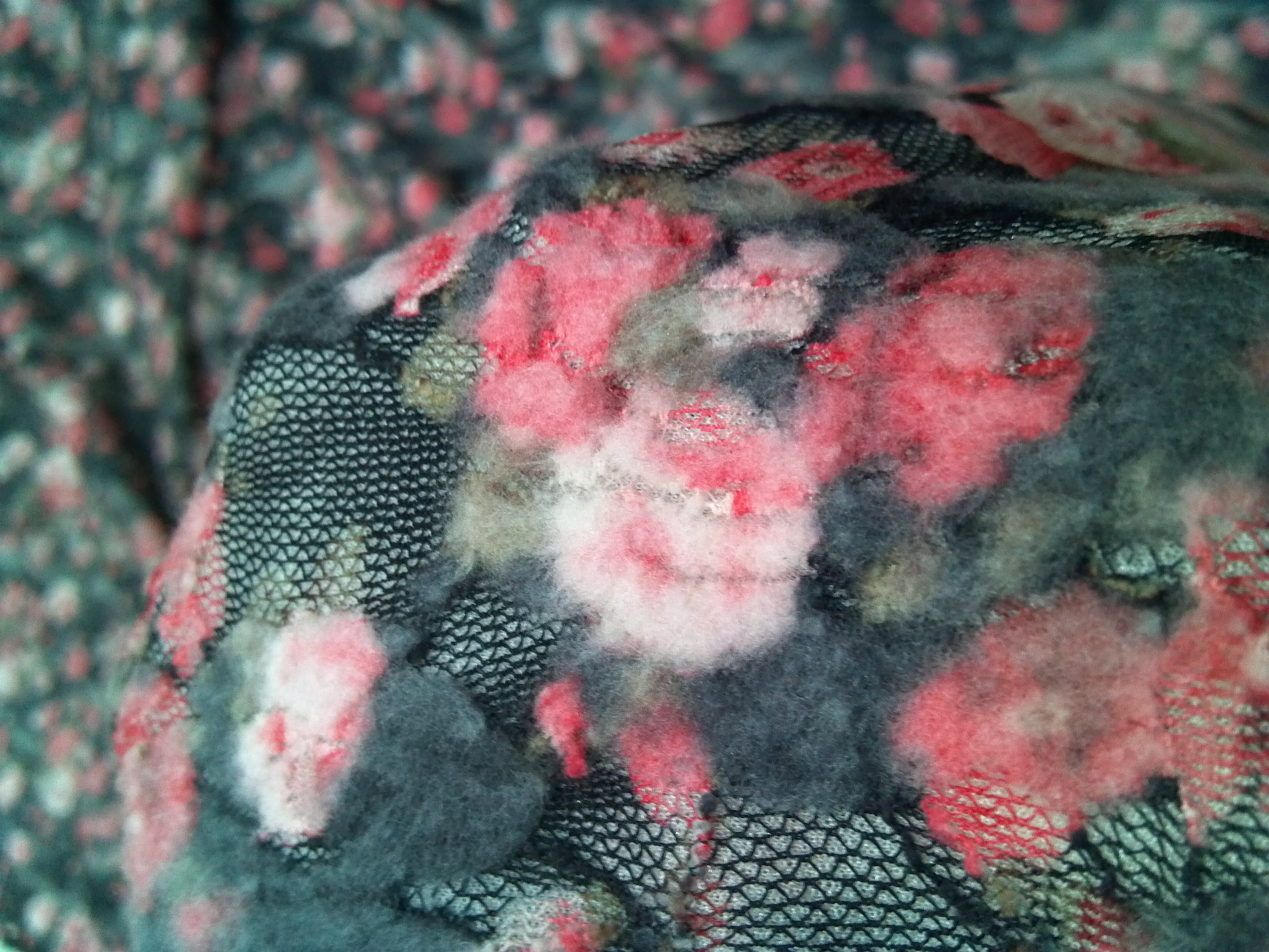 2013-11-19_15-56-57_961