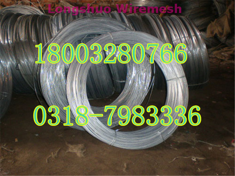 Electro Galvanized Wire 3_副本_副
