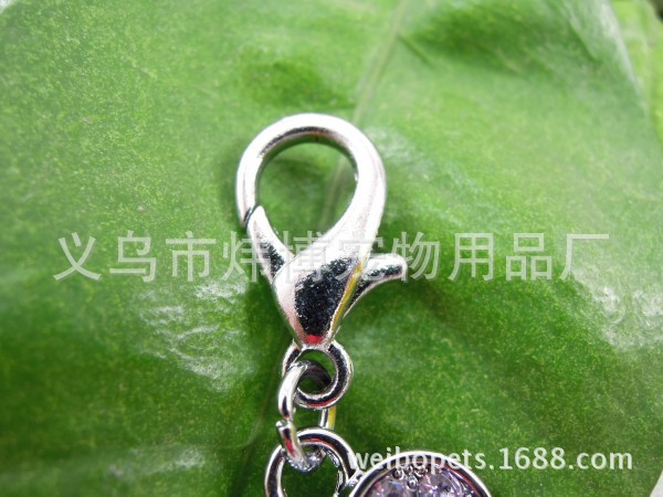 conew_dscn0269