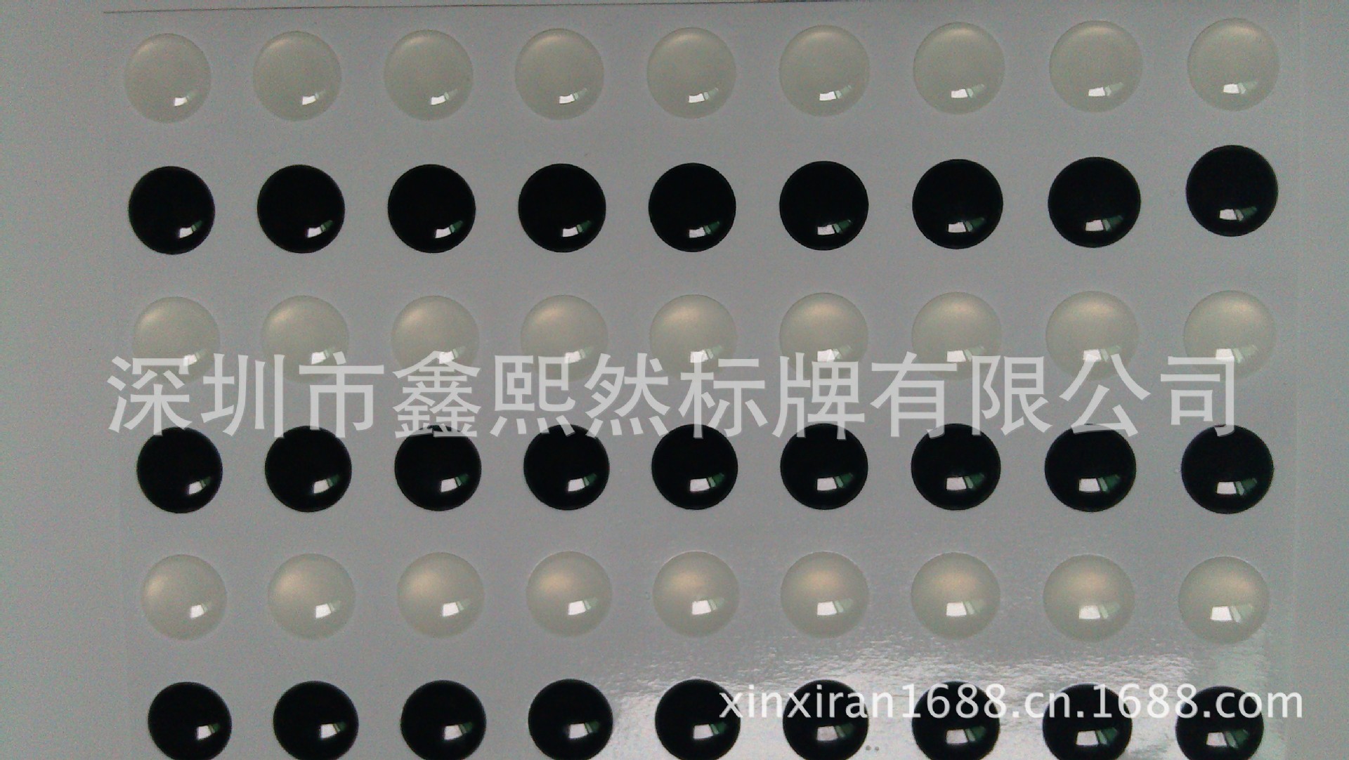 IMAG0728