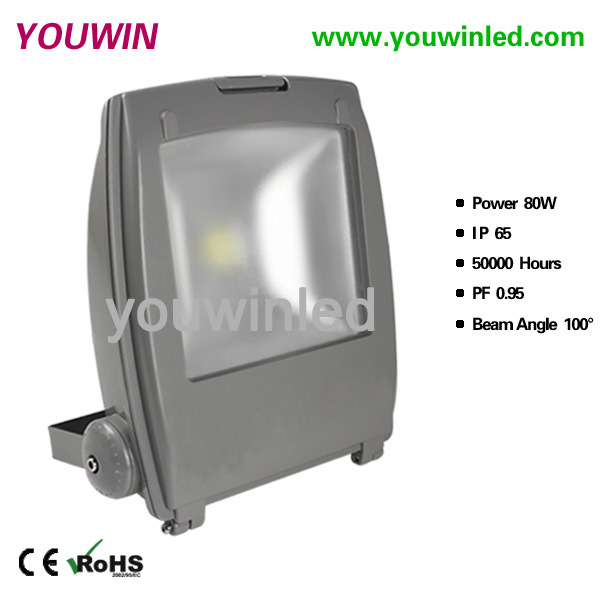 YW2024-80W-1