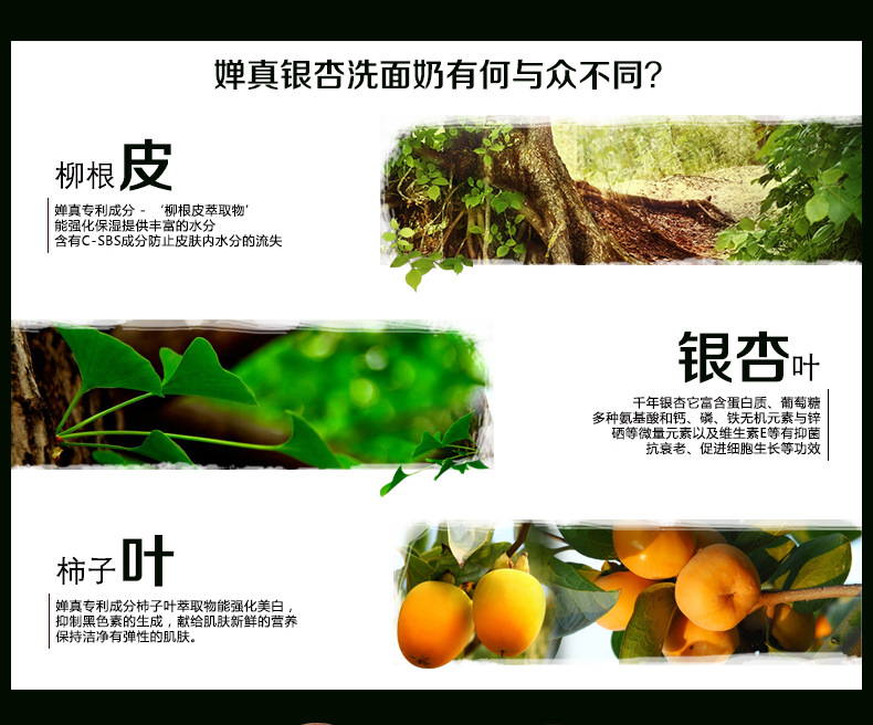 嬋真銀杏泡沫洗面奶潔面乳膏200g美白補水控油男女正品護膚化
