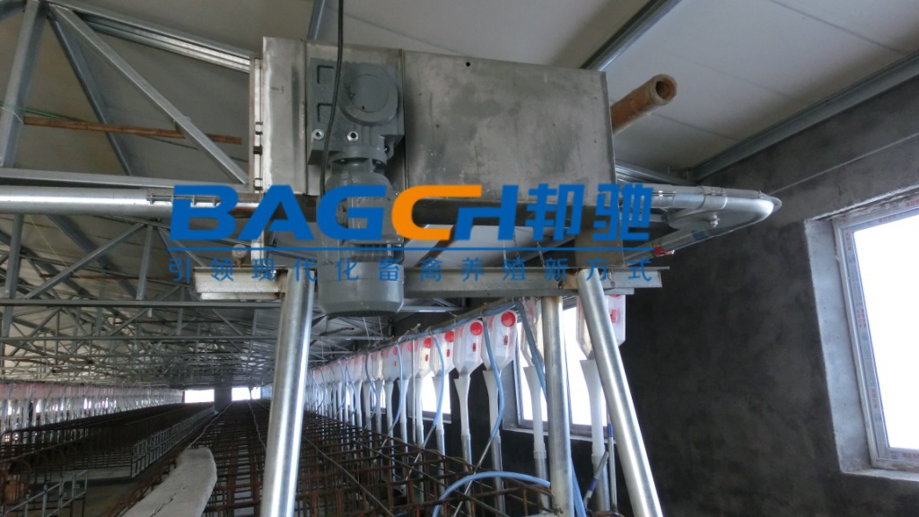 【邦驰机械专业生产 养猪料线 肉猪赛盘式喂料