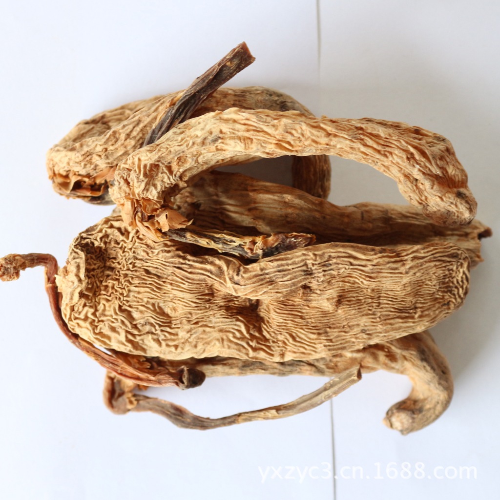 【云南名贵中药材野生天麻】