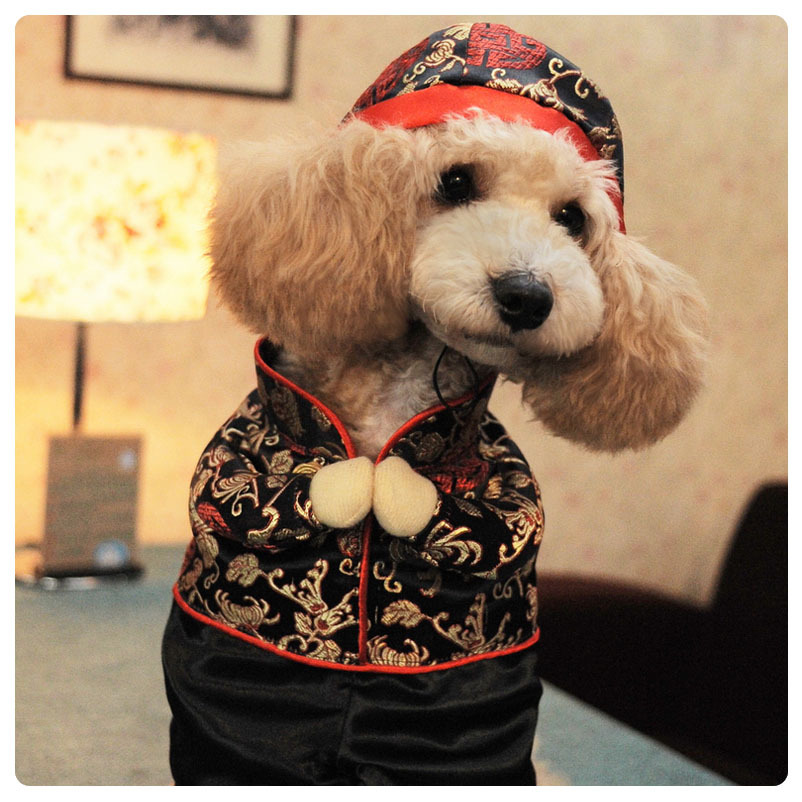 狗狗衣服 唐装棉衣 秋冬新年装 泰迪衣服 小狗狗拜年装 厂家直销