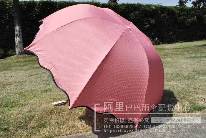 nEO_IMG__DSC0896