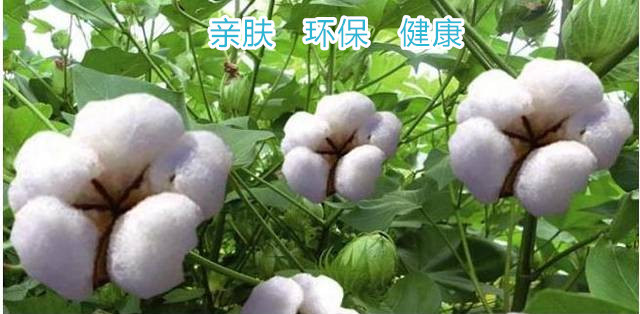 棉花可用圖