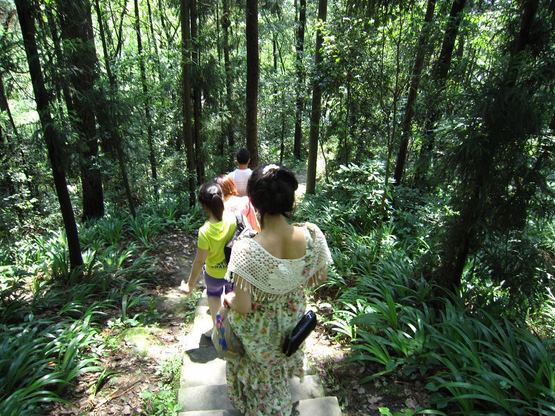 锻炼身体,周末爬山活动活动!有利于身心健康