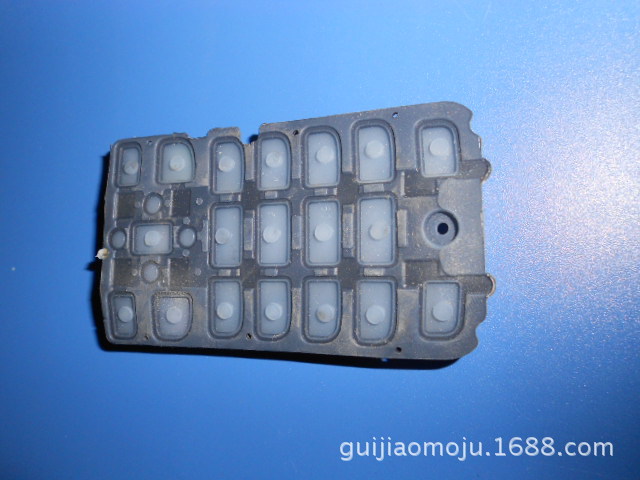 DSCN0895