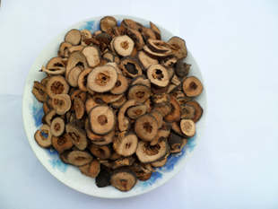 植物原药材-供应优质中药材饮片积实-植物原药