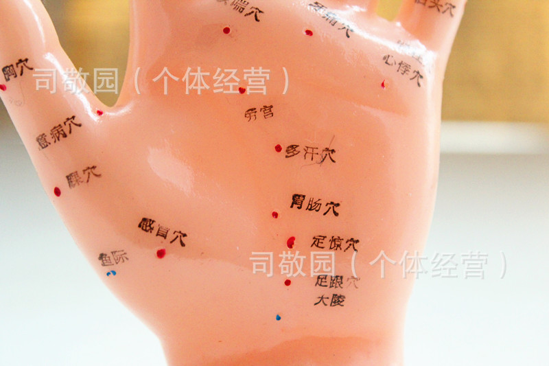 照片 24134_副本