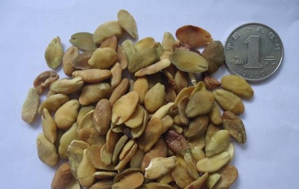 黄皮果-求购生熟黄皮果--阿里巴巴采购平台求购