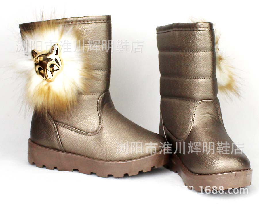 照片 288