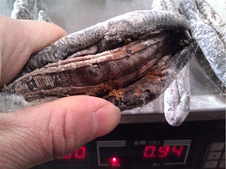 【批发去皮无泥茄参 海茄子 海茄参 去泥乌参 原色红色 加工厂直销】价格,厂家,图片,干制水产品,临沂鑫隆商贸有限公司-马可波罗网