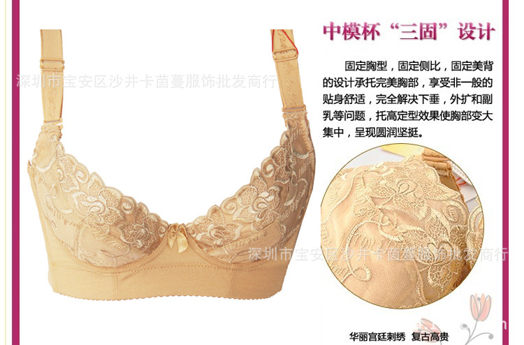 泰麗短胸罩_08