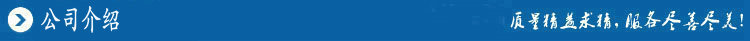 公司介绍1