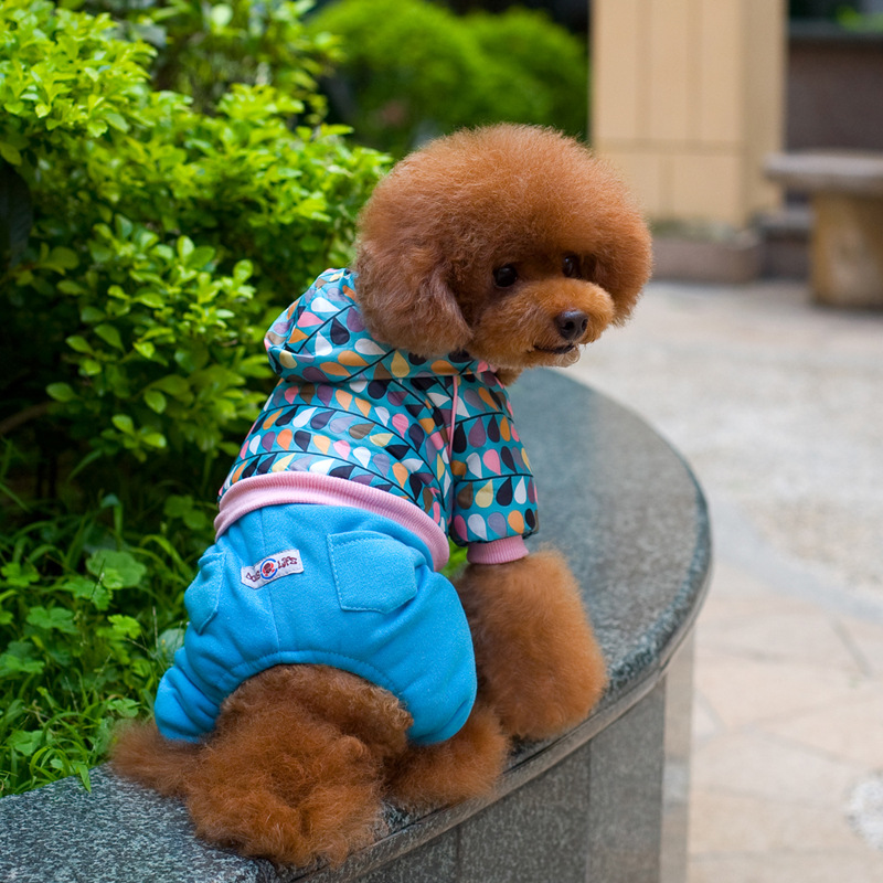 厂家特批 宠物衣服 小猪四脚狗狗衣服 狗服装 宠