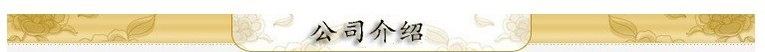 公司介绍
