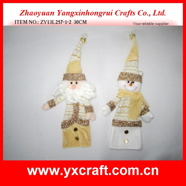 ZY13L257-1-2  30CM_副本