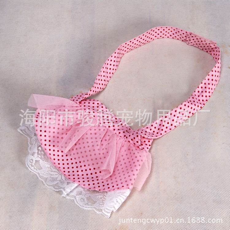 nEO_IMG_CAT_8019_副本