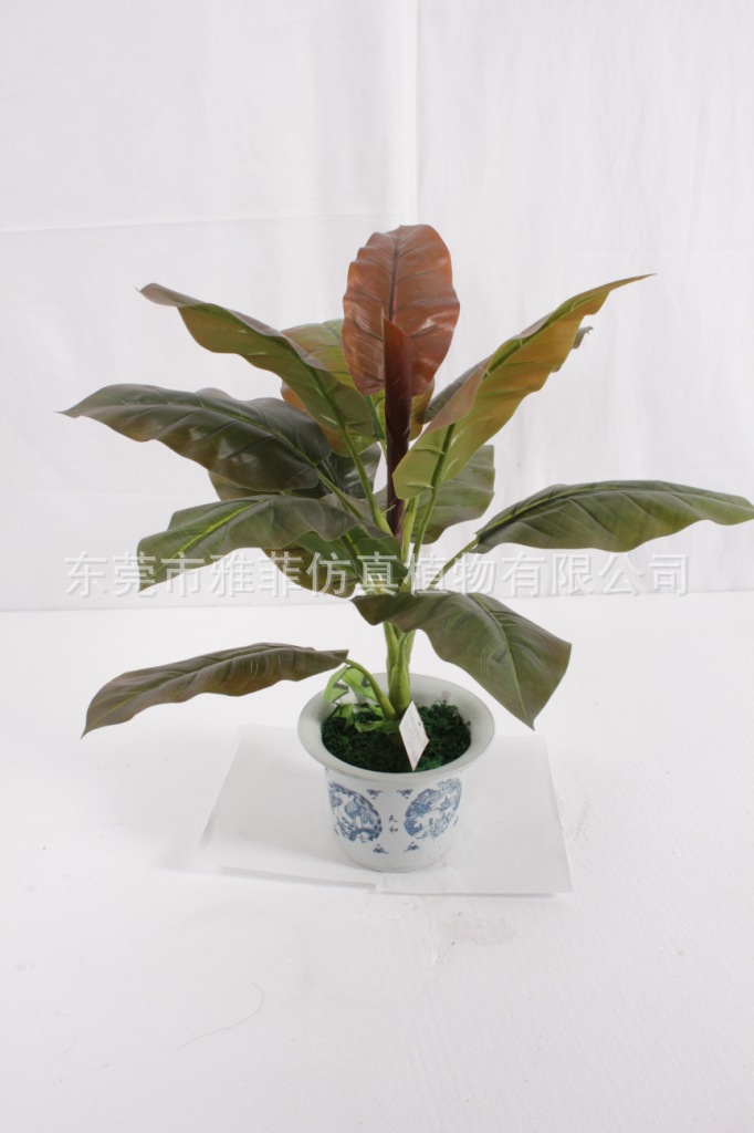 SJA0170 红宝石 50CM