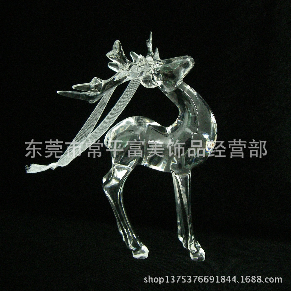 IMGP2765