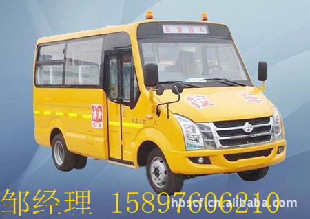 幼儿园19座专用校车价格/五菱汽油校车生产厂家/小型校车报价/B证校车图片