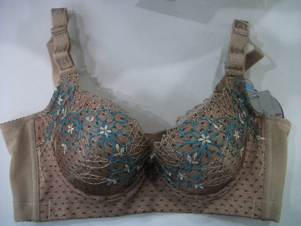 批发采购<em>文胸</em>-<em>普岚度</em>品牌新款<em>文胸</em> 聚拢性感 精