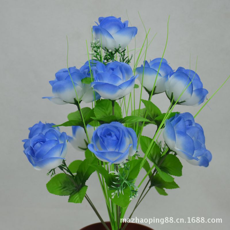 12头仙桃玫230270