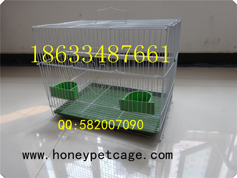 铁丝鸟笼 小群 (2)