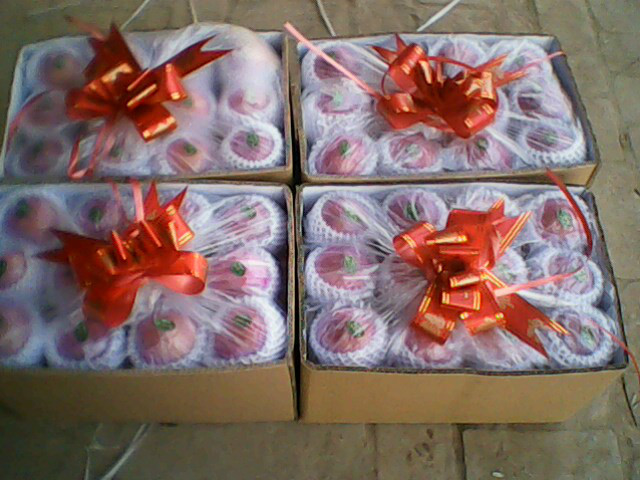 【批发产地直销洛川一级红富士苹果24头精美