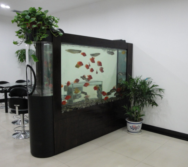 神奇负压鱼缸办公室高观赏面大型玻璃圆形高鱼缸 创意鱼缸水族箱