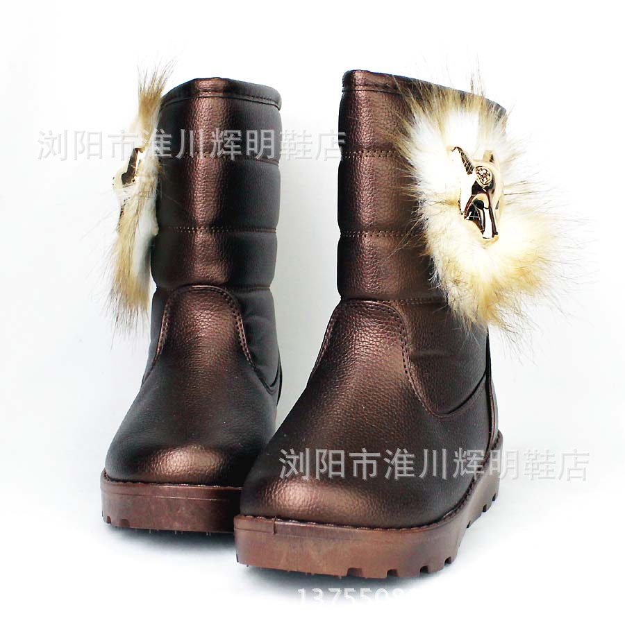 照片 281