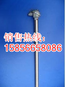 pt100耐磨热电阻图片_副本