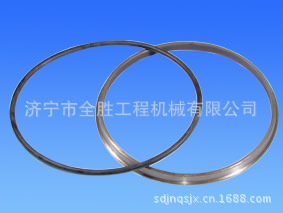 复件 (3) 大油封环