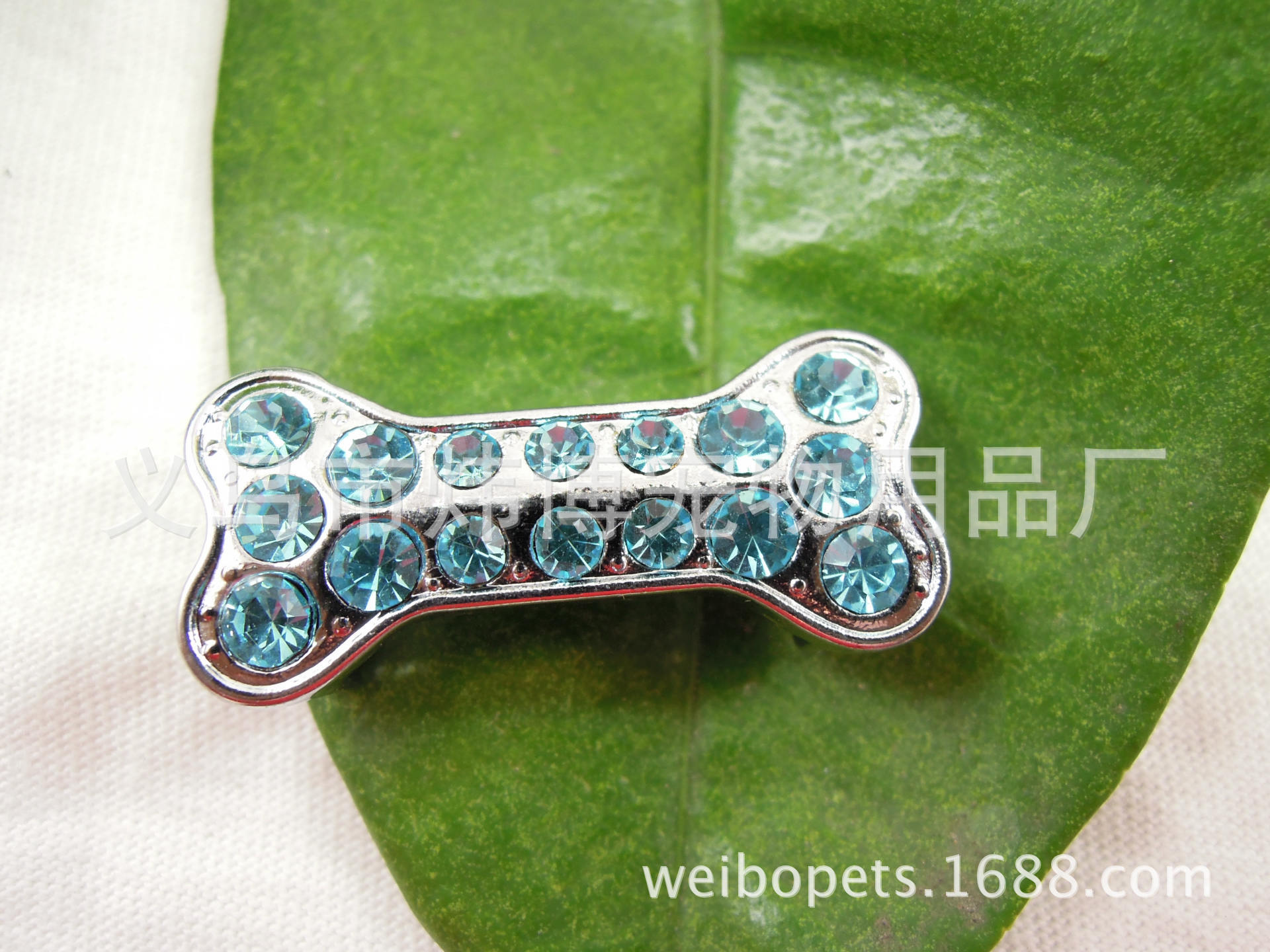 DSCN0285