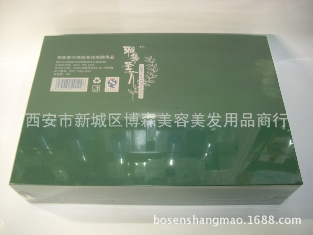 DSCI0162