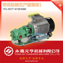 供應WCB-75微型齒輪泵 WCB微型齒輪泵  WCB75小型齒輪泵/油泵